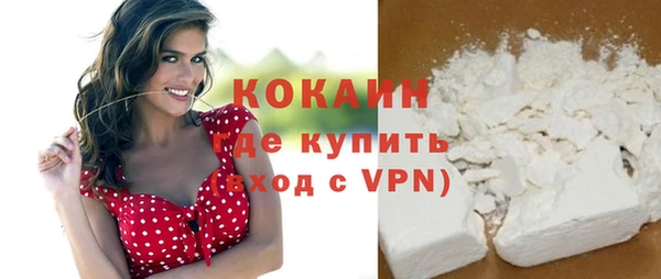 молекула духа Болхов