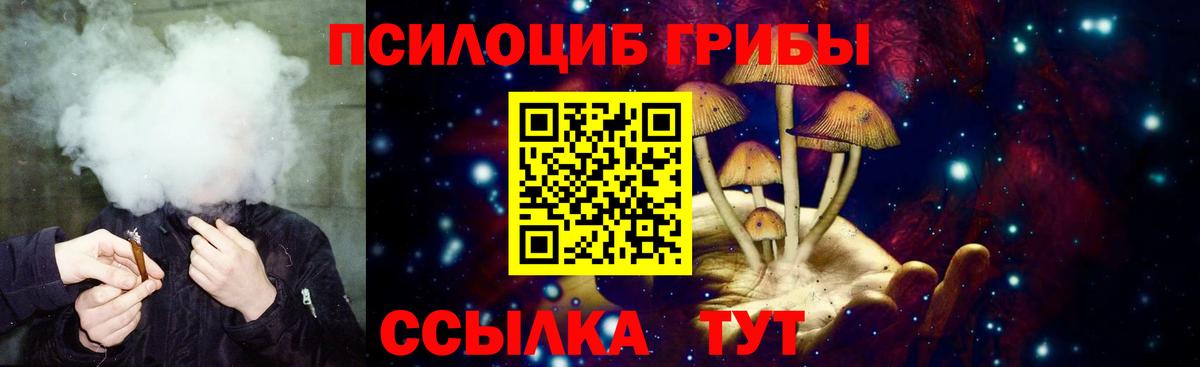 Североморск  хочу   Вход с VPN  Галлюциногенные грибы прущие грибы 