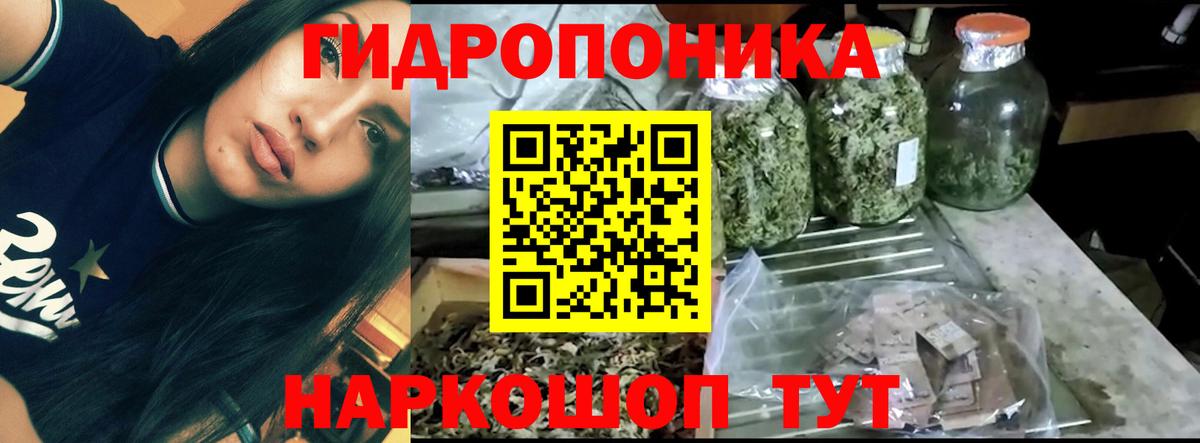 МАРИХУАНА план Североморск